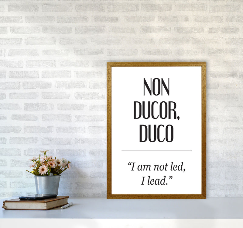 Non Ducor, Duco Framed Typography Wall Art Print A2 Print Only
