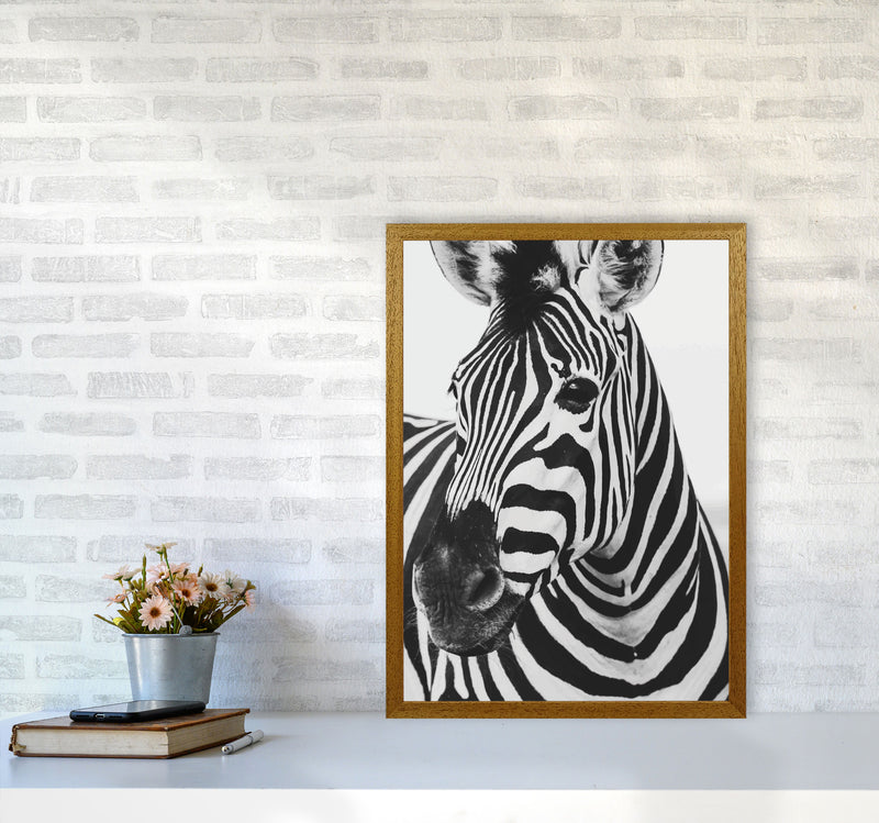 Black And White Zebra Modern Print Animal Art Print A2 Print Only