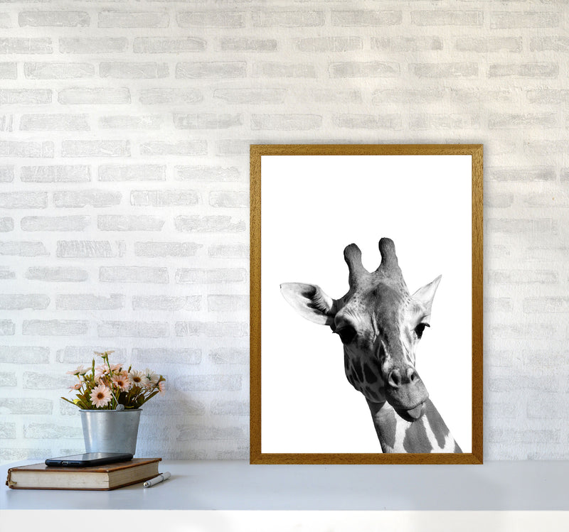 Black And White Giraffe Modern Print Animal Art Print A2 Print Only