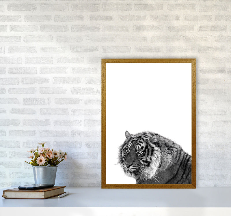 Black And White Tiger Modern Print Animal Art Print A2 Print Only