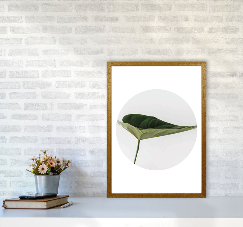 Doc Leaf Modern Print, Framed Botanical & Nature Art Print A2 Print Only