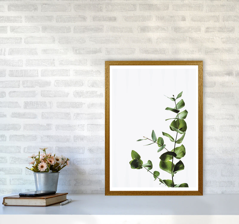 Elegant Green Plant Modern Print, Framed Botanical & Nature Art Print A2 Print Only