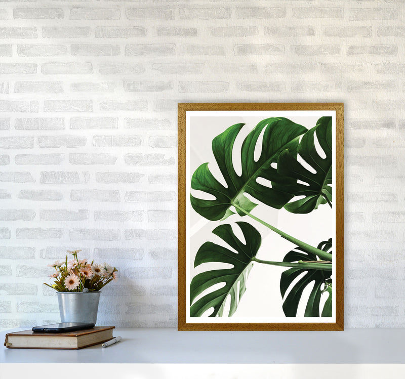 Monstera Leaf Modern Print, Framed Botanical & Nature Art Print A2 Print Only