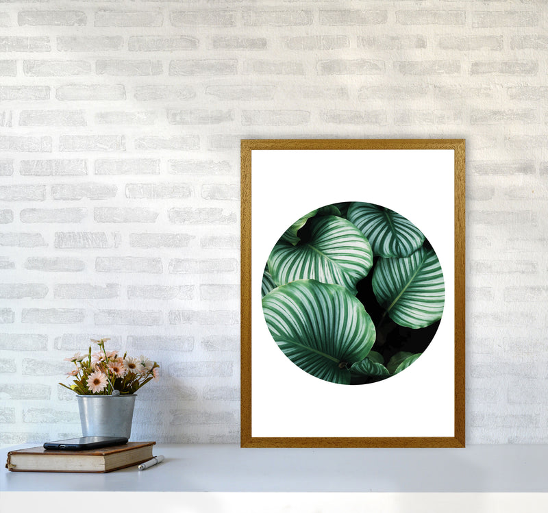 Green Leaves Circle Modern Print, Framed Botanical & Nature Art Print A2 Print Only