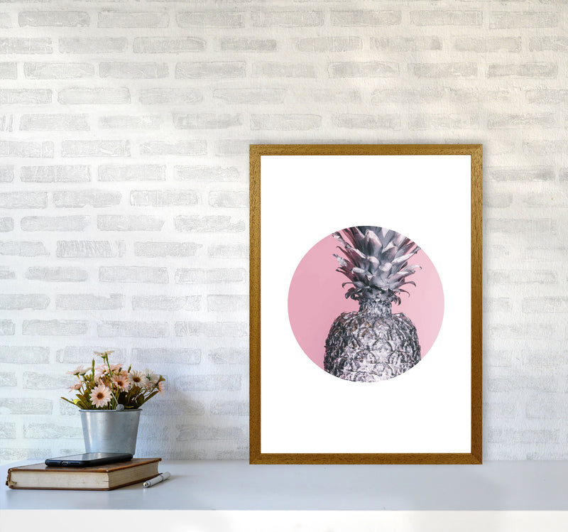 Pineapple Pink Circle Modern Print A2 Print Only