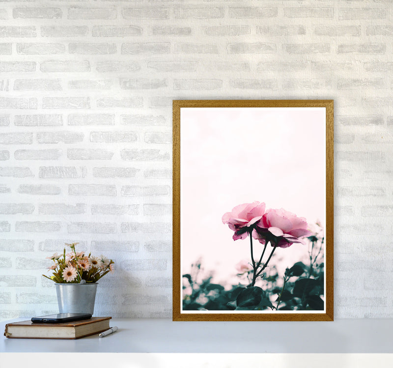 Pink Rose Modern Print, Framed Botanical & Nature Art Print A2 Print Only