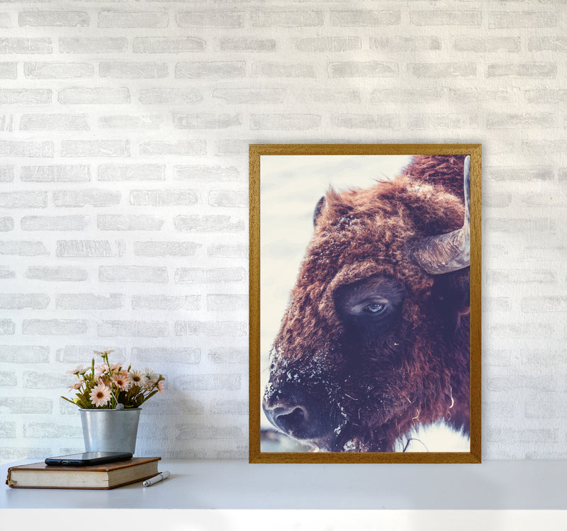 Bull Modern Print Animal Art Print A2 Print Only