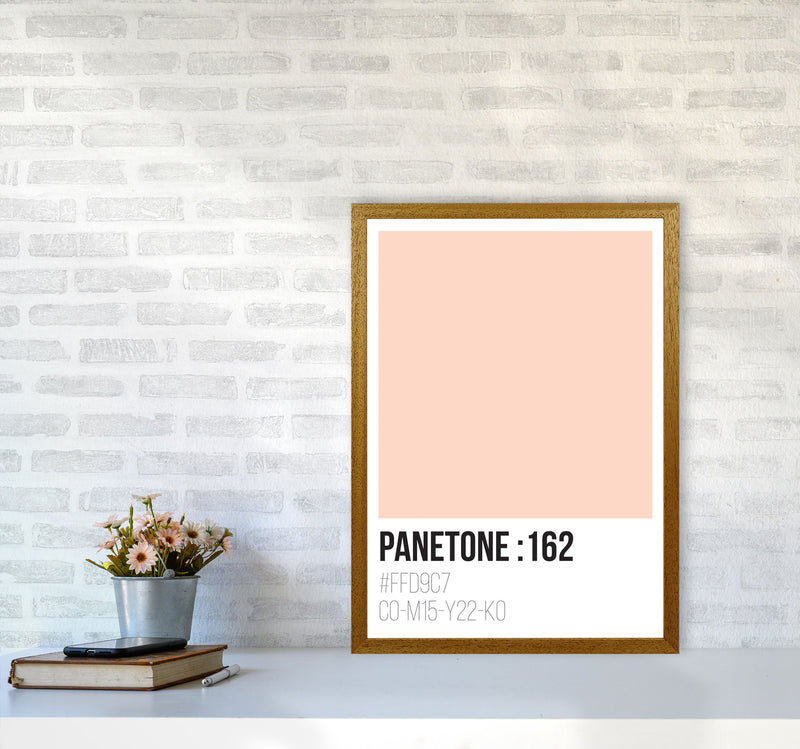 Panetone Colours 162 Modern Print A2 Print Only