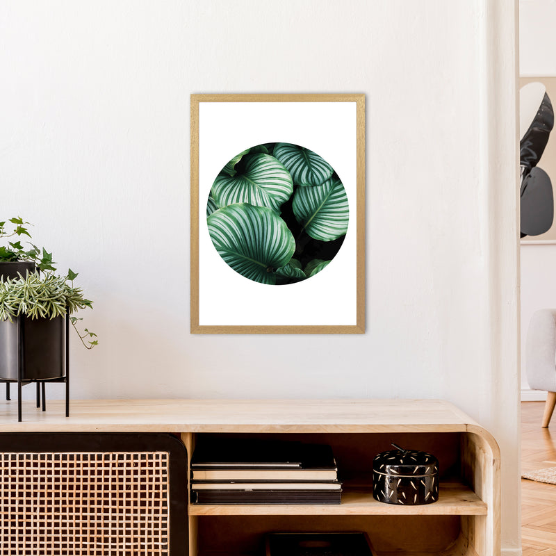 Green Leaf Circle Window  Art Print by Pixy Paper A2 Print Only
