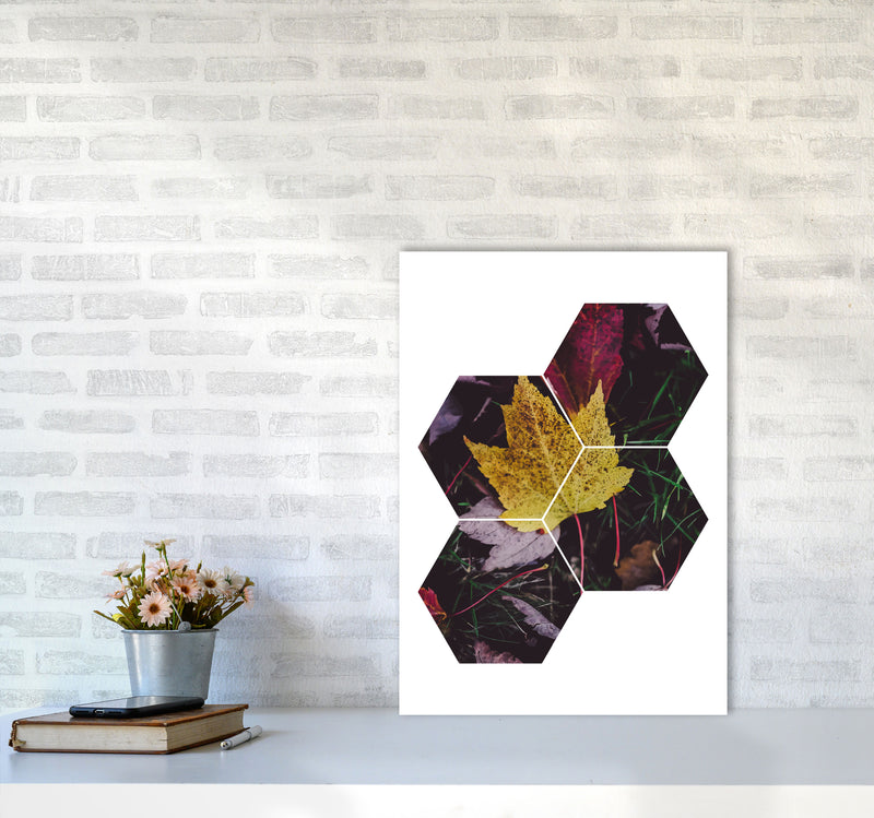 Leaf And Grass Abstract Hexagons Modern Print A2 Black Frame