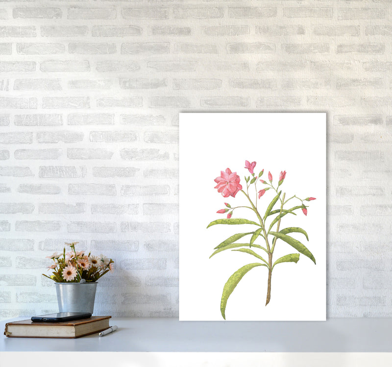 Pink Flower Modern Print, Framed Botanical & Nature Art Print A2 Black Frame