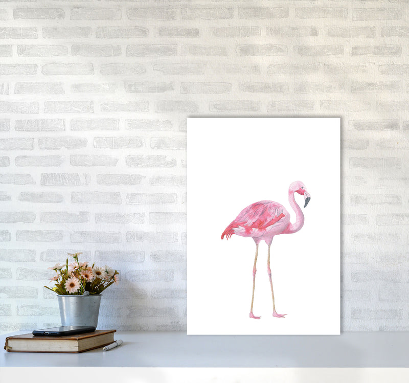 Pink Flamingo Modern Print Animal Art Print A2 Black Frame