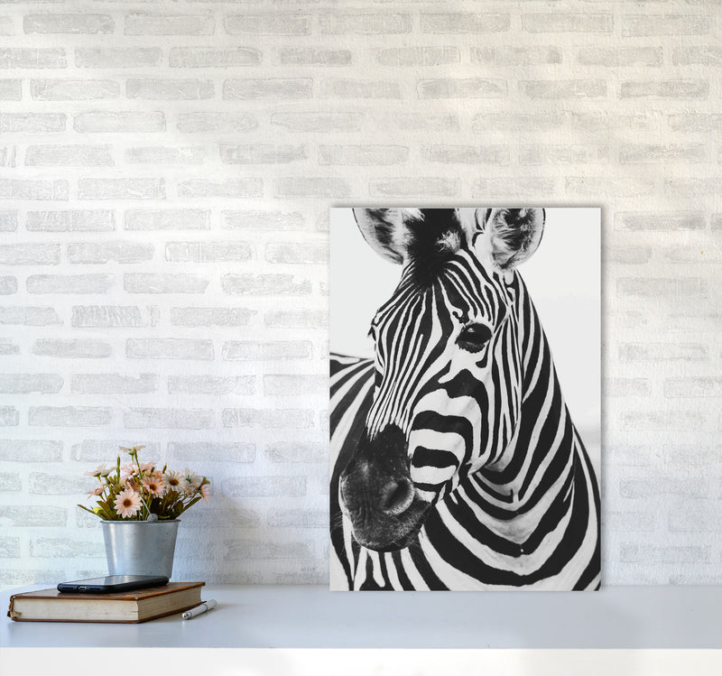 Black And White Zebra Modern Print Animal Art Print A2 Black Frame