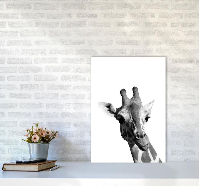 Black And White Giraffe Modern Print Animal Art Print A2 Black Frame