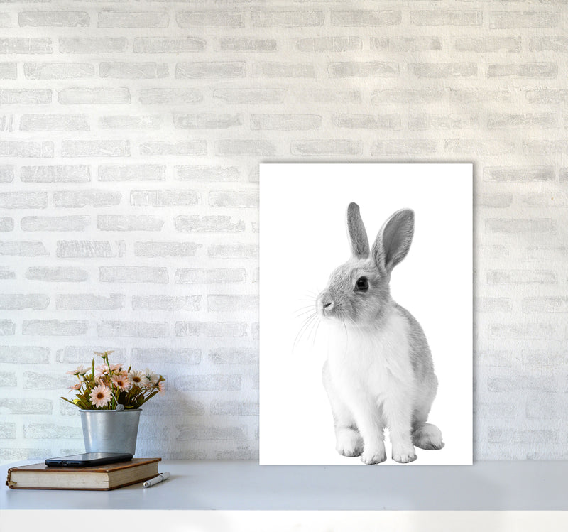 Black And White Bunny Modern Print Animal Art Print A2 Black Frame