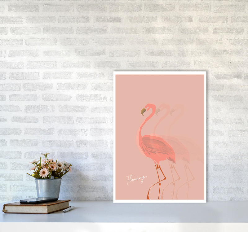 Flamingo Shadow Modern Print Animal Art Print A2 Black Frame