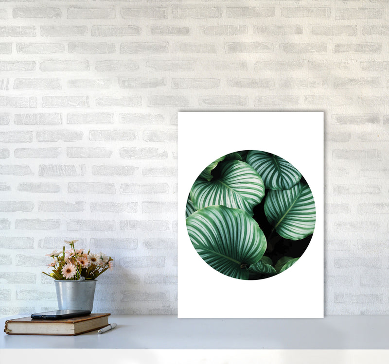 Green Leaves Circle Modern Print, Framed Botanical & Nature Art Print A2 Black Frame