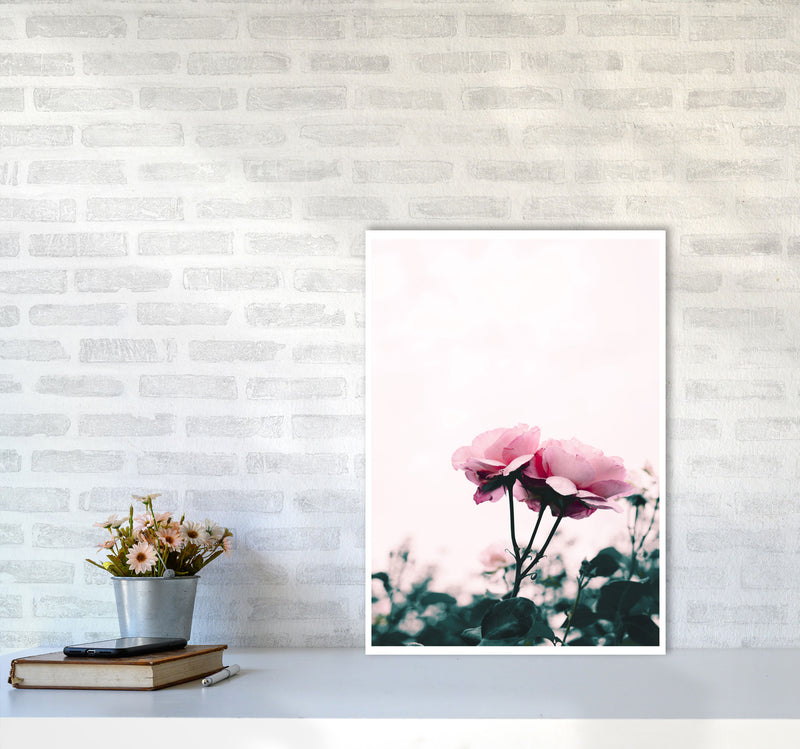 Pink Rose Modern Print, Framed Botanical & Nature Art Print A2 Black Frame