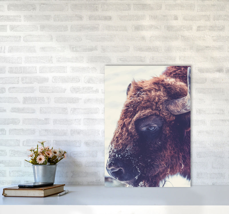 Bull Modern Print Animal Art Print A2 Black Frame