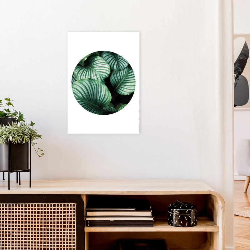 Green Leaf Circle Window  Art Print by Pixy Paper A2 Black Frame