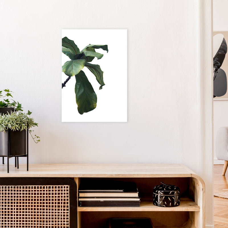 Plant Head Part One  Art Print by Pixy Paper A2 Black Frame