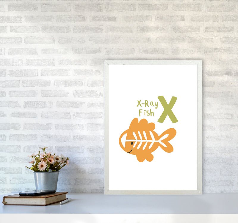 Alphabet Animals, X Is For X-Ray Fish, Nursey Wall Art Poster A2 Oak Frame