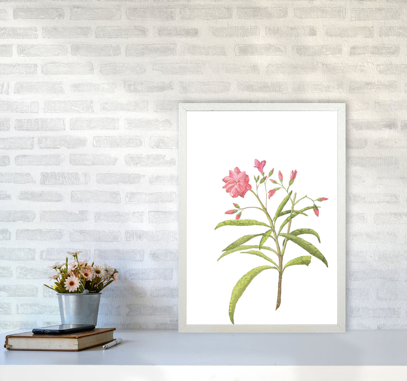 Pink Flower Modern Print, Framed Botanical & Nature Art Print A2 Oak Frame