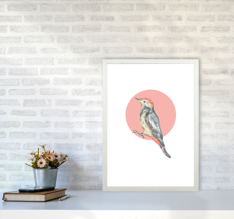 Watercolour Bird With Red Circle Modern Print Animal Art Print A2 Oak Frame