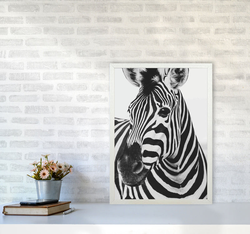 Black And White Zebra Modern Print Animal Art Print A2 Oak Frame