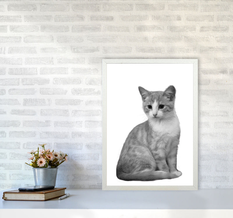 Black And White Cat Modern Print Animal Art Print A2 Oak Frame