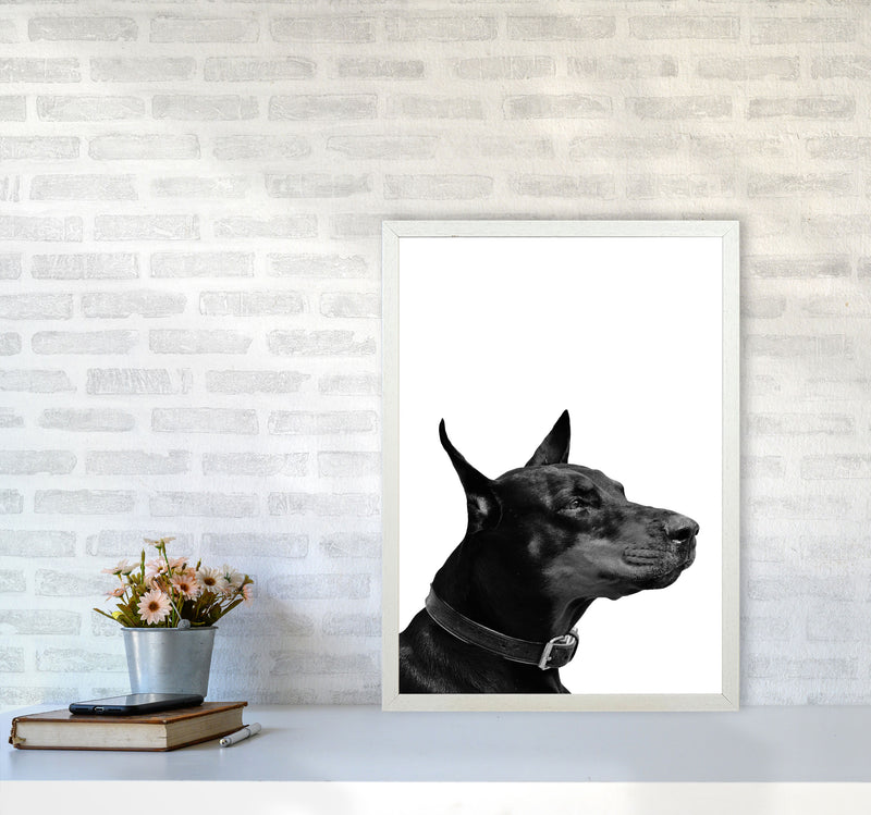 Black And White Dog Modern Print Animal Art Print A2 Oak Frame