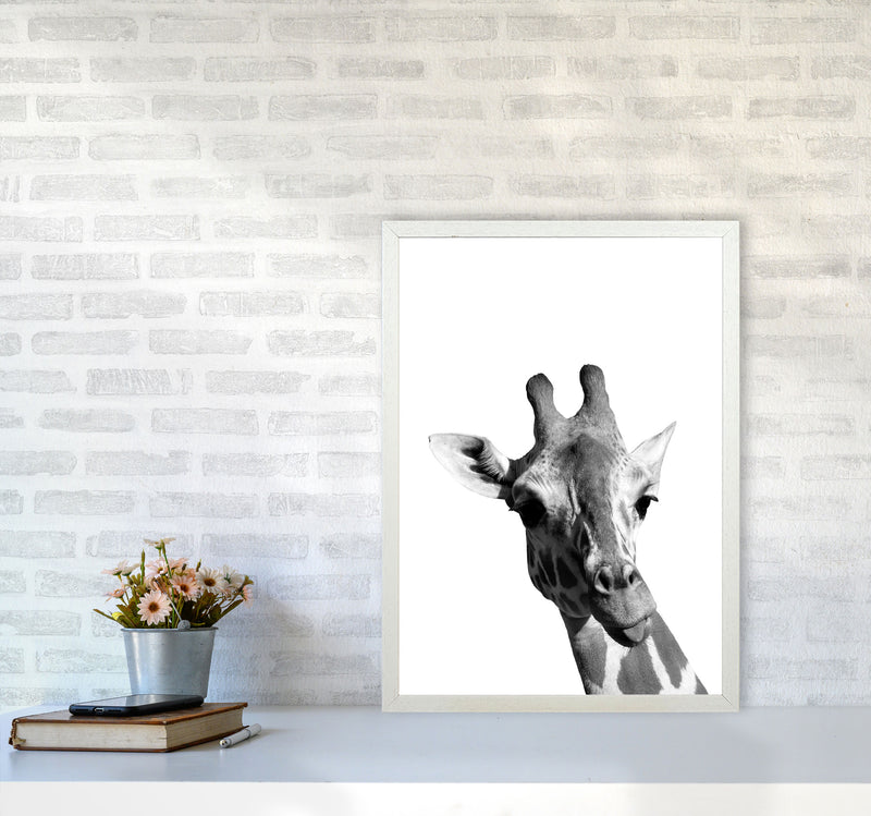 Black And White Giraffe Modern Print Animal Art Print A2 Oak Frame