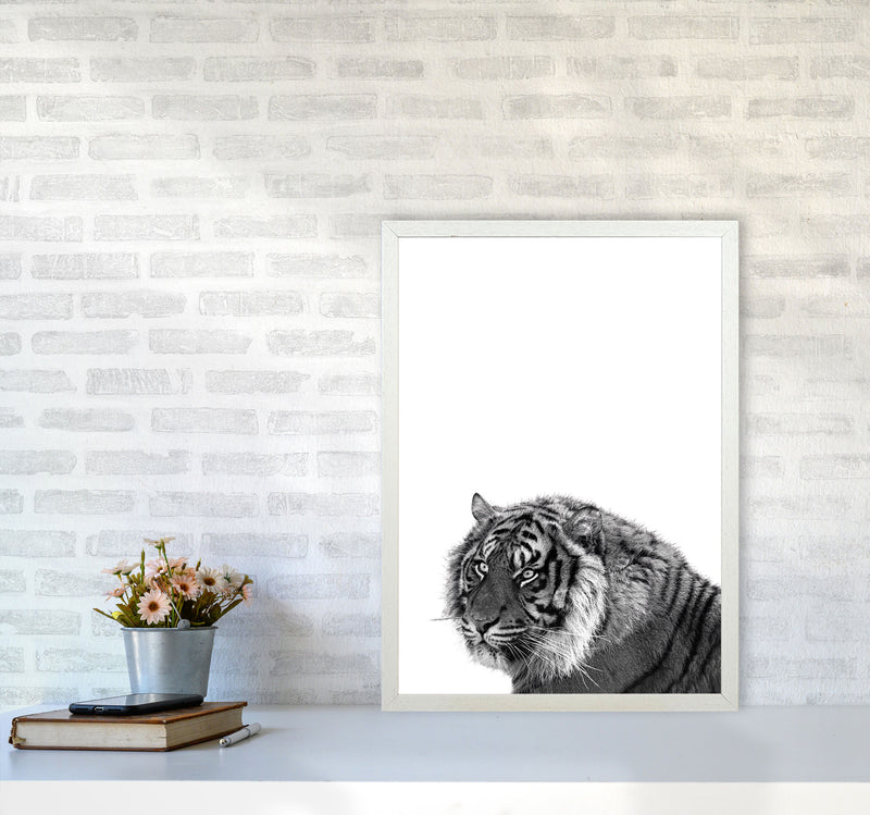 Black And White Tiger Modern Print Animal Art Print A2 Oak Frame