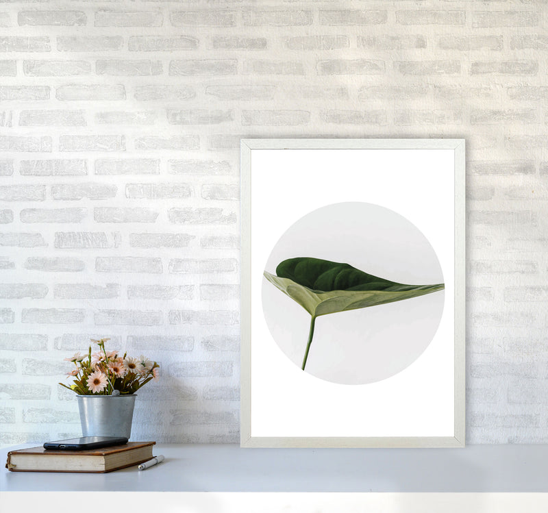 Doc Leaf Modern Print, Framed Botanical & Nature Art Print A2 Oak Frame