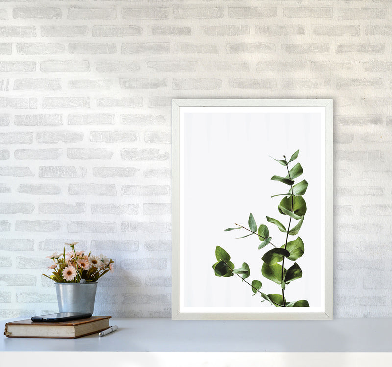Elegant Green Plant Modern Print, Framed Botanical & Nature Art Print A2 Oak Frame