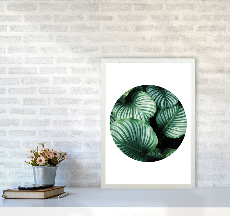 Green Leaves Circle Modern Print, Framed Botanical & Nature Art Print A2 Oak Frame