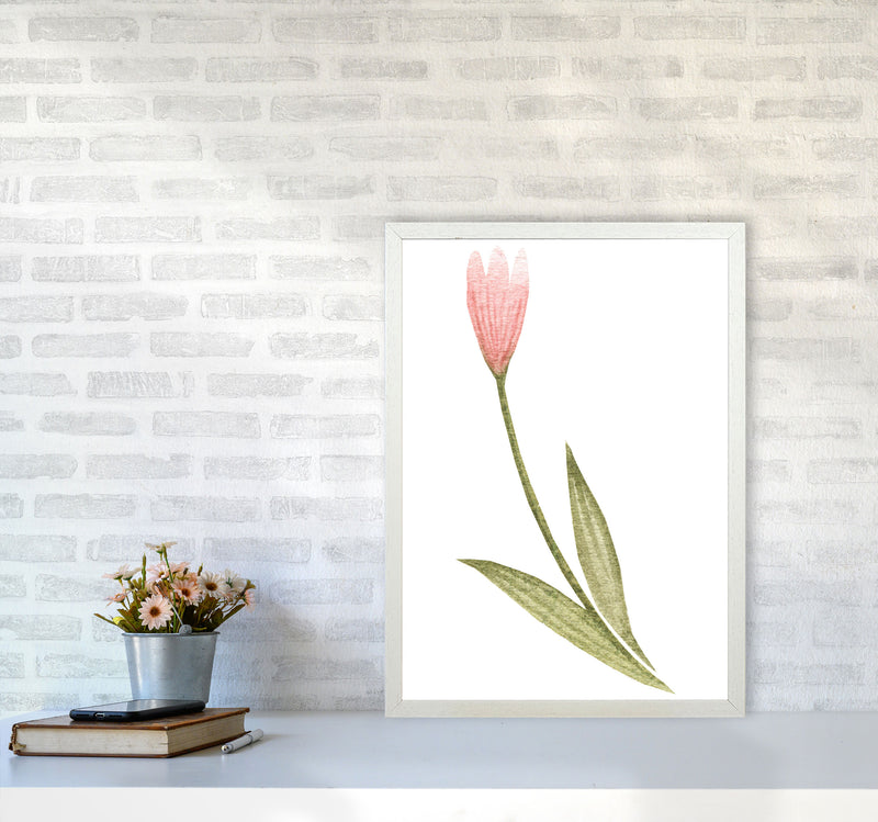 Pink Watercolour Flower 3 Modern Print A2 Oak Frame