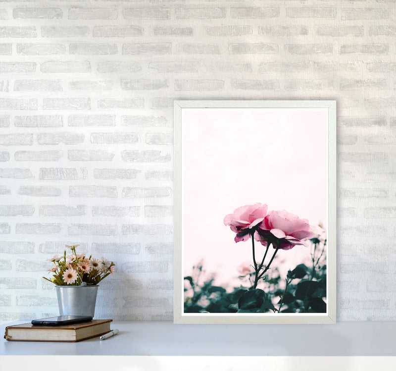 Pink Rose Modern Print, Framed Botanical & Nature Art Print A2 Oak Frame