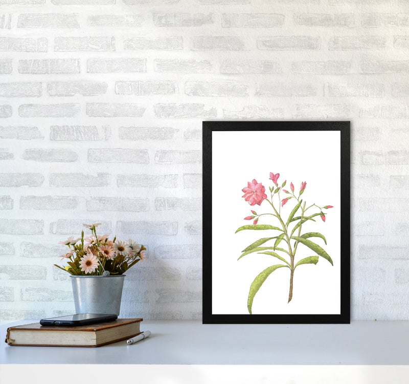 Pink Flower Modern Print, Framed Botanical & Nature Art Print A3 White Frame