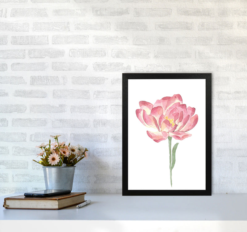 Pink Watercolour Flower Modern Print A3 White Frame