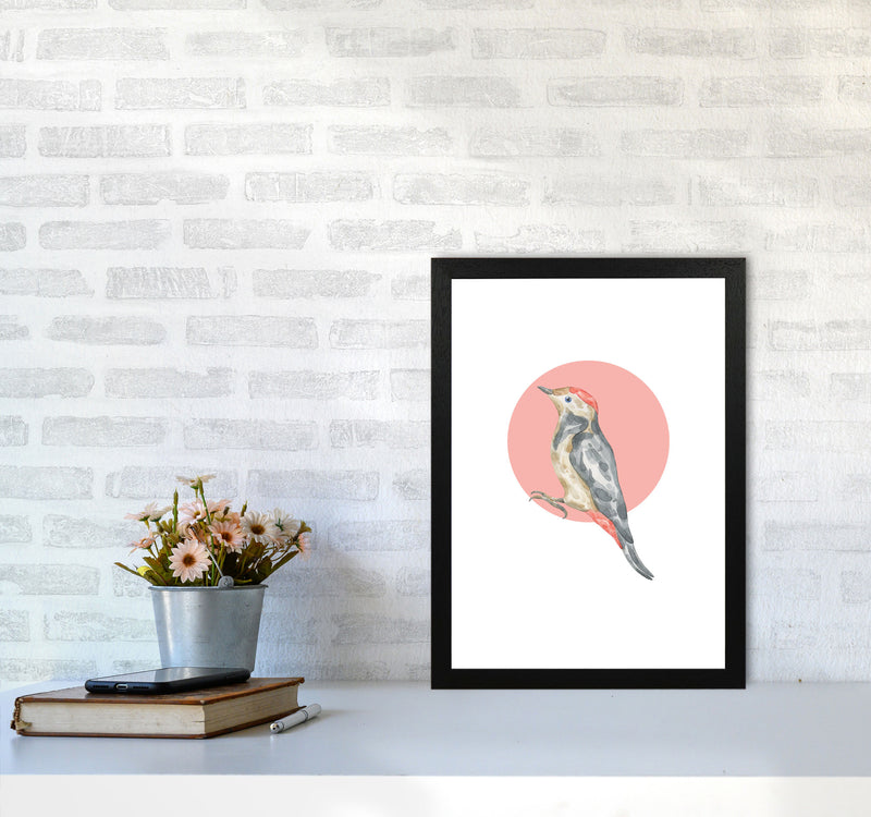 Watercolour Bird With Red Circle Modern Print Animal Art Print A3 White Frame