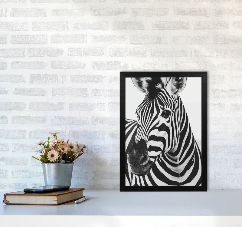 Black And White Zebra Modern Print Animal Art Print A3 White Frame