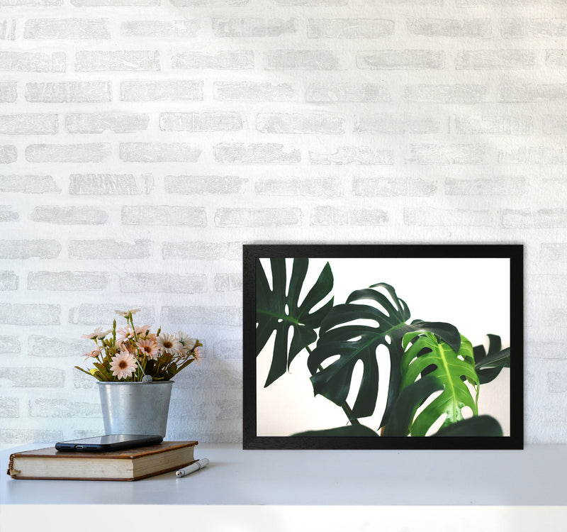 Monstera Leaf Landscape Modern Print, Framed Botanical & Nature Art Print A3 White Frame