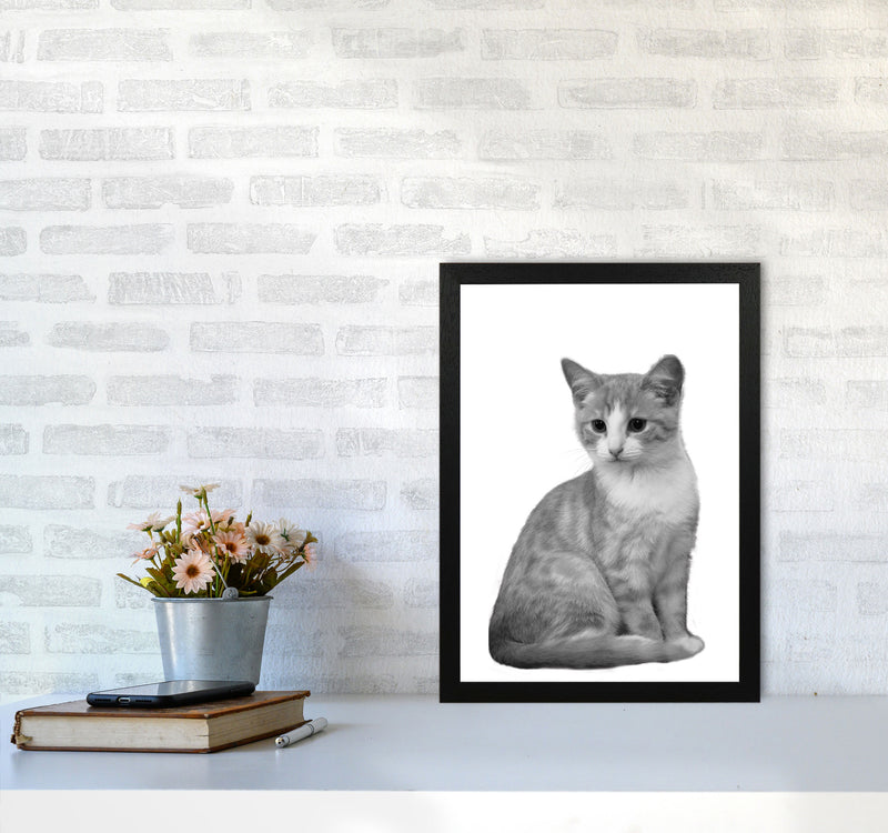 Black And White Cat Modern Print Animal Art Print A3 White Frame