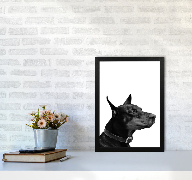 Black And White Dog Modern Print Animal Art Print A3 White Frame