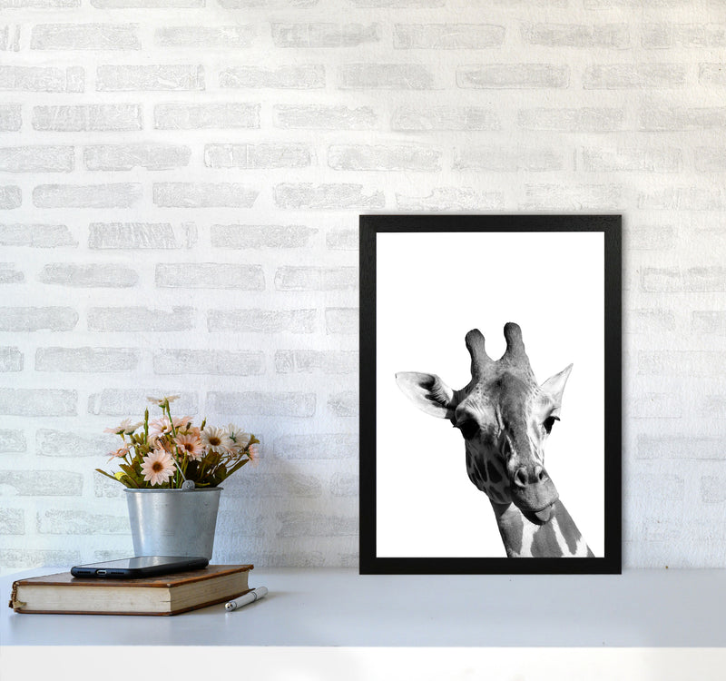 Black And White Giraffe Modern Print Animal Art Print A3 White Frame