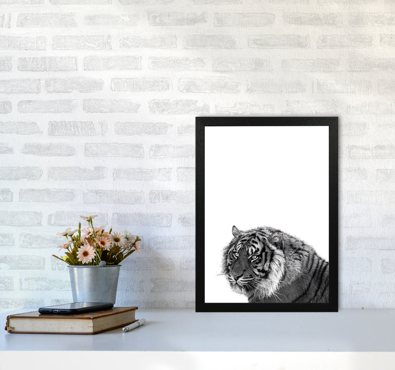 Black And White Tiger Modern Print Animal Art Print A3 White Frame