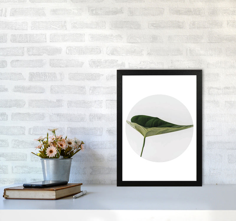 Doc Leaf Modern Print, Framed Botanical & Nature Art Print A3 White Frame
