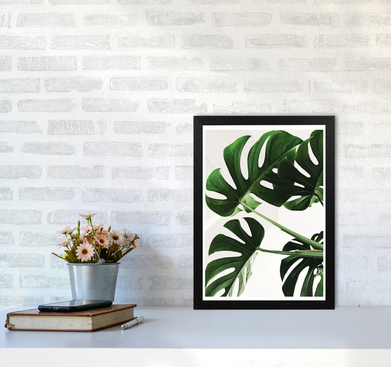 Monstera Leaf Modern Print, Framed Botanical & Nature Art Print A3 White Frame