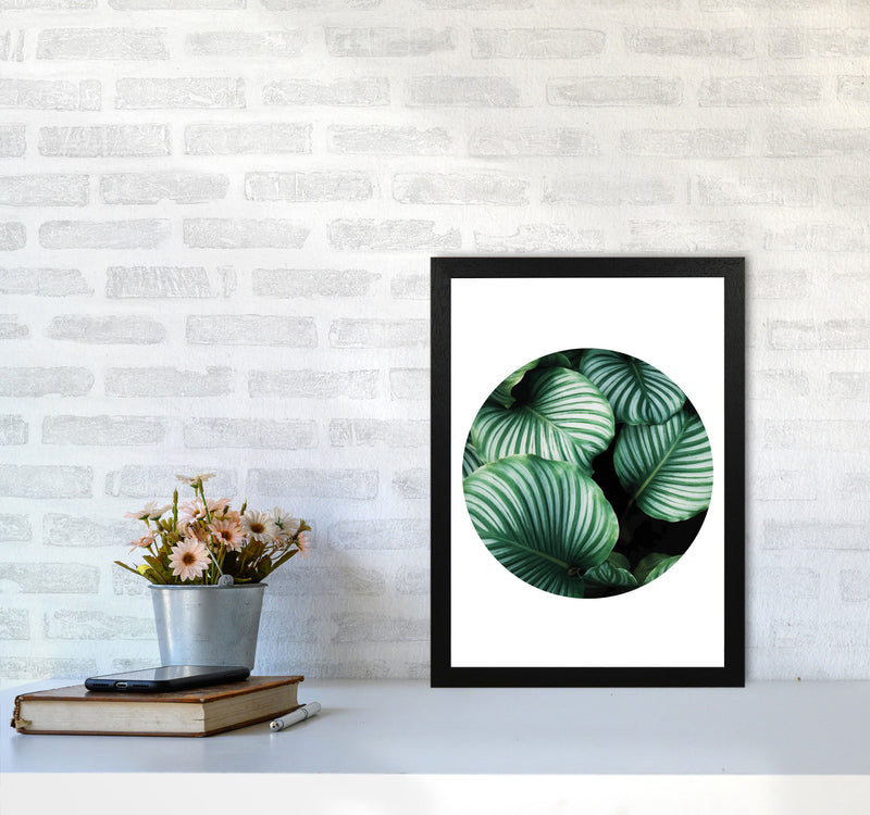 Green Leaves Circle Modern Print, Framed Botanical & Nature Art Print A3 White Frame